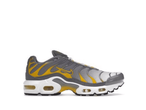 Nike Air Max Plus 'Particle Grey '