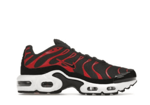 Nike Air Max Plus 'Bred '