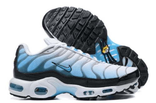 Nike Air Max Plus TN 'Ice'