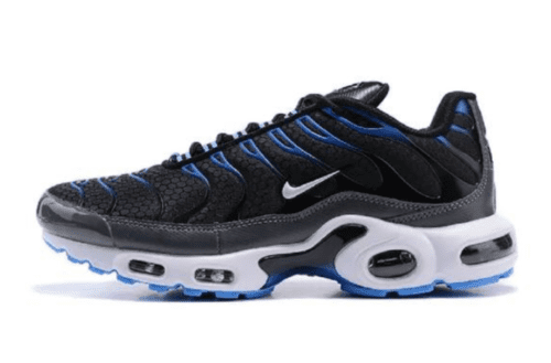 Nike Air Max Plus 'TN Black Royal'
