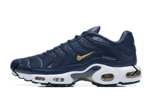 Nike Air Max Plus TN 'French Football Federation'