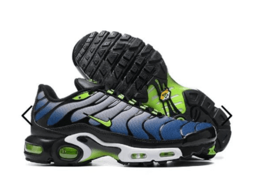 Nike Air Max Plus TN 'Icons '